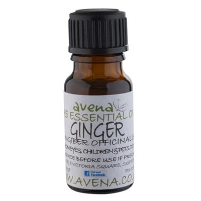 Ginger Essential Oil (Zingiber officinale)